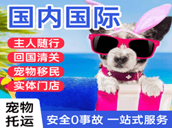 延吉空运代理国际宠物托运 【国